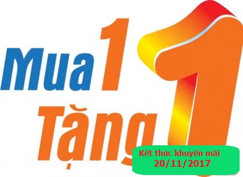 mua 1 tang 1